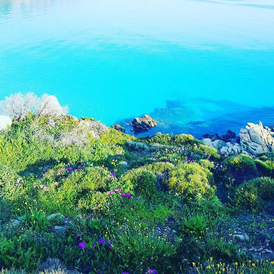 Studio S Santa Teresa Gallura